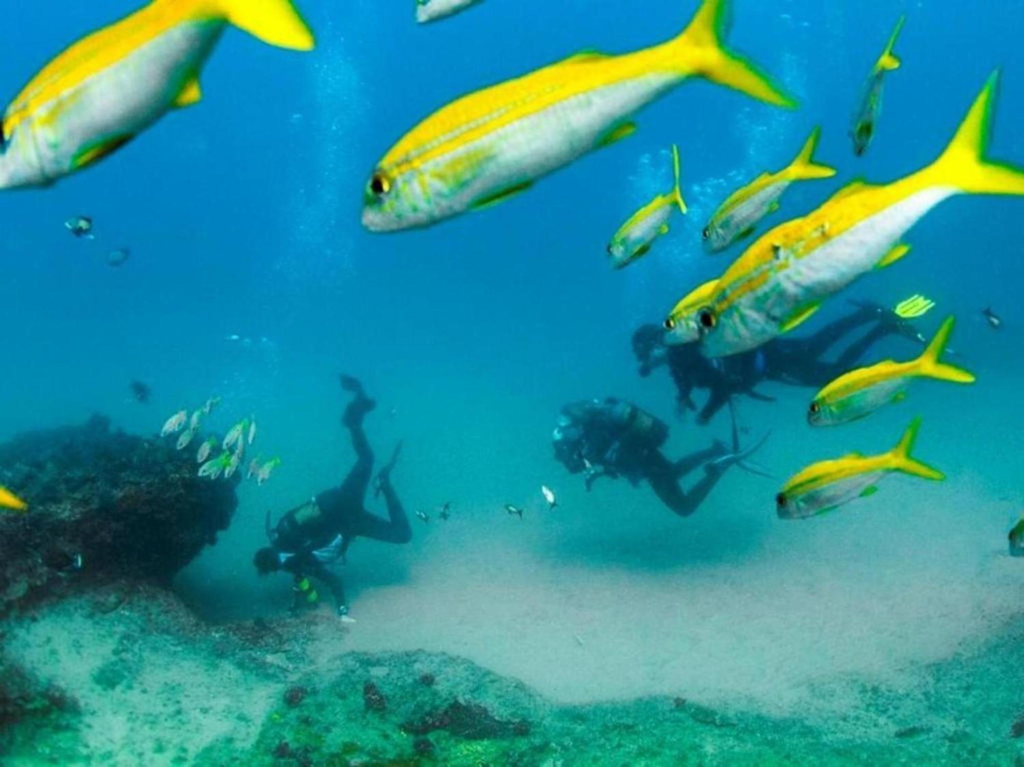 פונטה דו אורו Devocean Eco Adventure Lodge מראה חיצוני תמונה